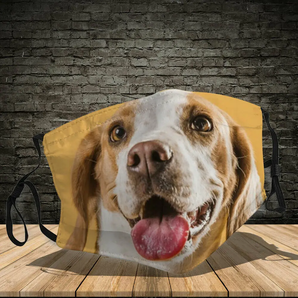 

Unique American English Coonhound Dog Printed Dog Lovers Gift Mouth Covering Washable Reusable Fabric Face Mask with Filter