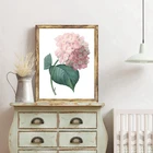 Печатная растительная иллюстрация, плакат, розовая Гортензия, настенное искусство, холст, живопись, розовый цветок, растение, картина, украшение