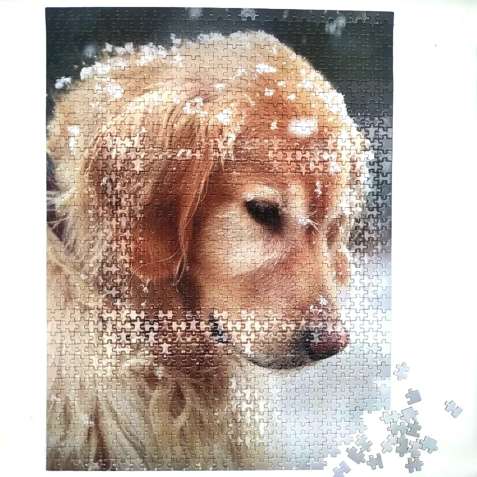 

Wholesale Hot Selling Kids Game Puzzle Custom Sublimation Brain Teaser Adult Jigsaw Puzzle 1000 Pieces