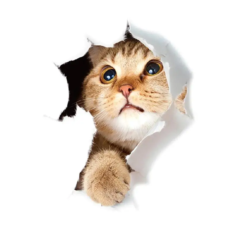 3D Наклейка на стену для кошек наклейки туалета с отверстием яркие собаки ванная