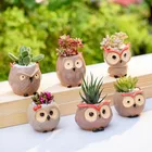 Мини цветочный горшок в виде совы, цветочный горшок для дома и офиса, планшетов, кактусов, бонсай, цветочный горшок, держатель для растений, Декор для дома и сада