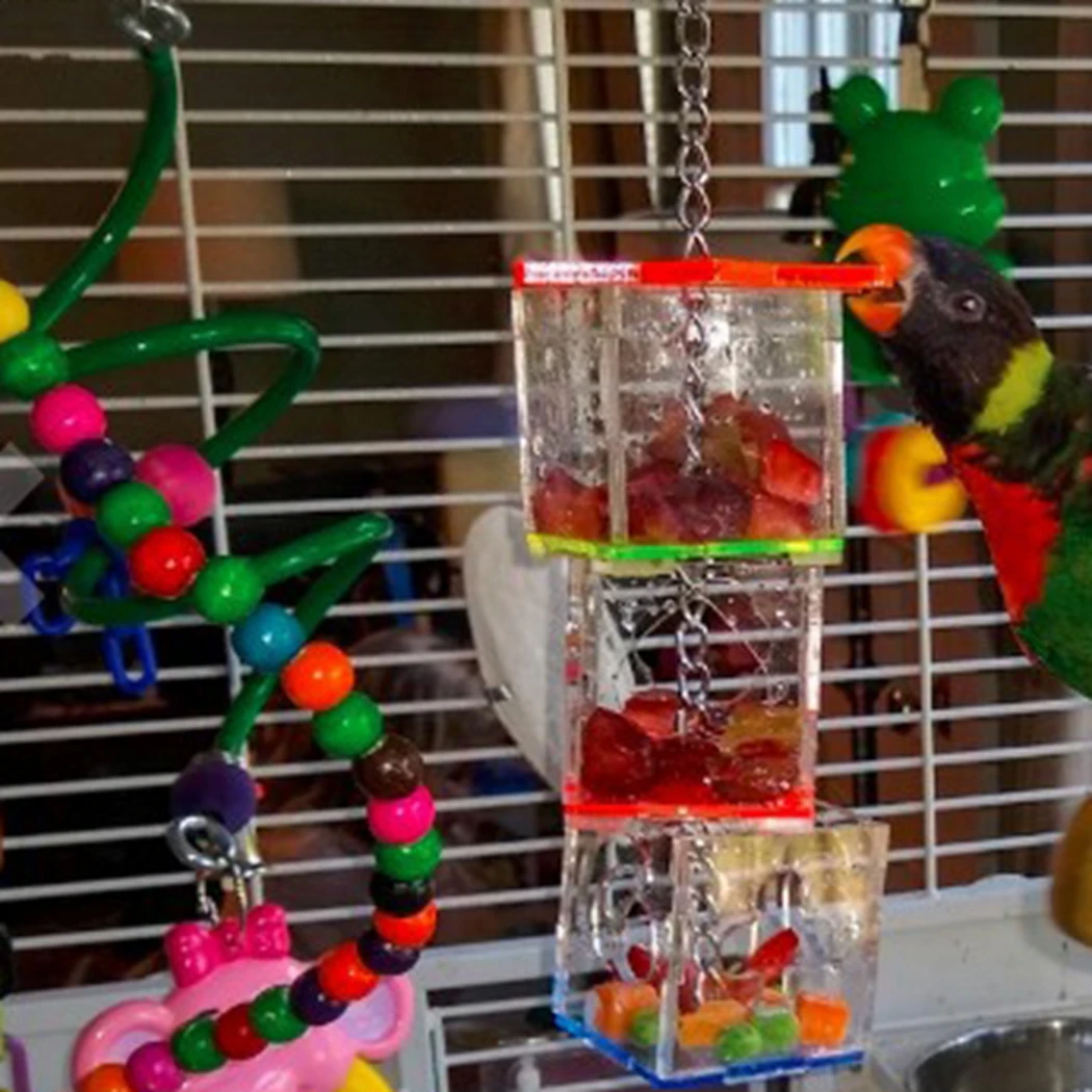 

Parrot Foraging Toy Detachable Transparent Acrylic Bird Food Holder Forage Box for Birds Food Fruits Basket Holder