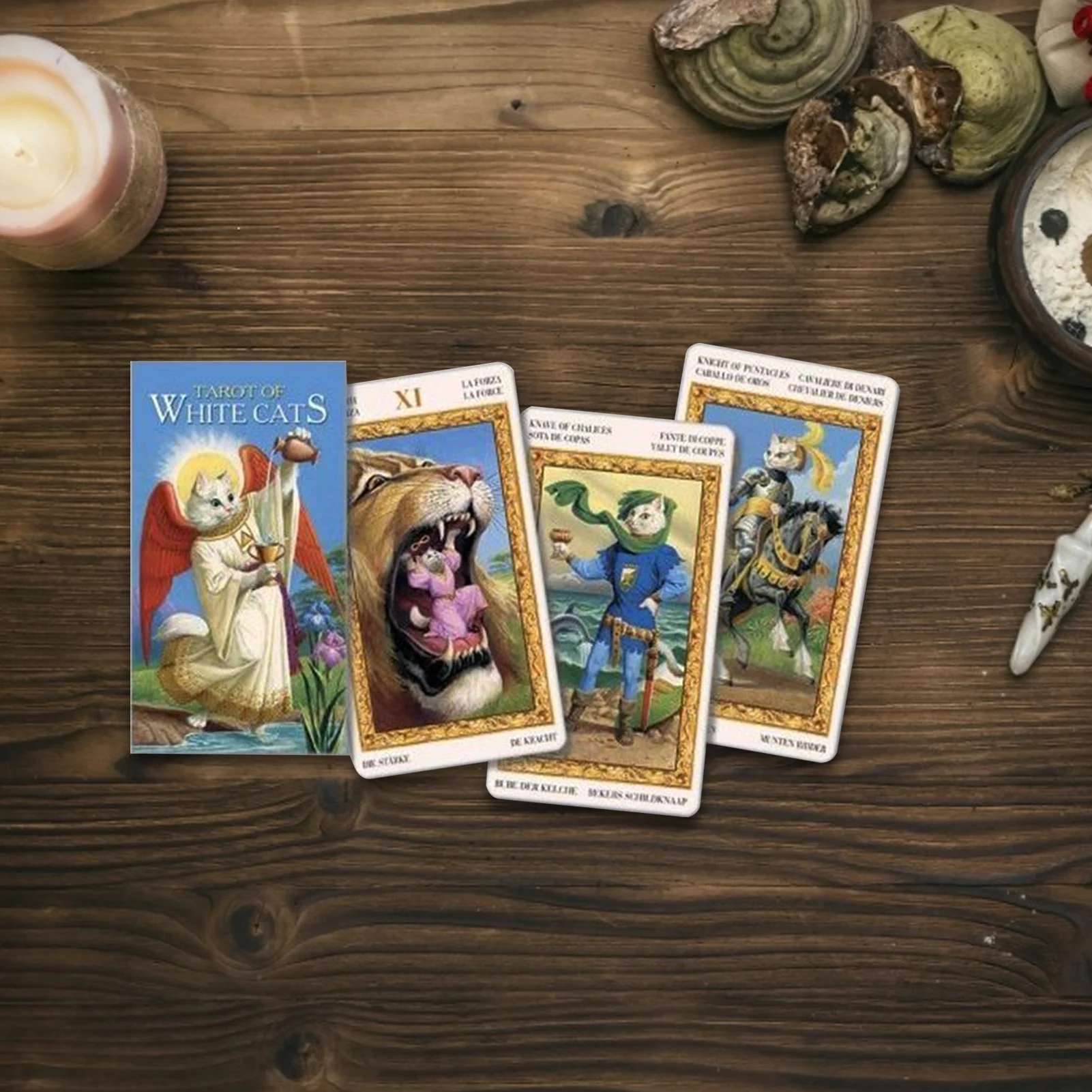 Таро Белых Кошек Полный английская версия 49 карт колода Oracle друзья вечерние