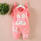 Одежда для маленьких девочек, весенне-осенний хлопковый костюм, Повседневный свитер с капюшоном и милым кроликом для девочек, костюм из двух предметов, От 0 до 3 лет