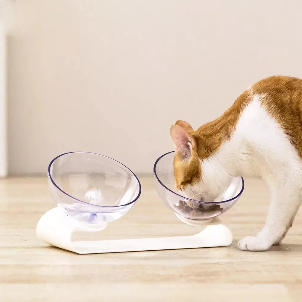 Самостоятельная двойная миска для питомцев Наклонный дизайн кормления воды