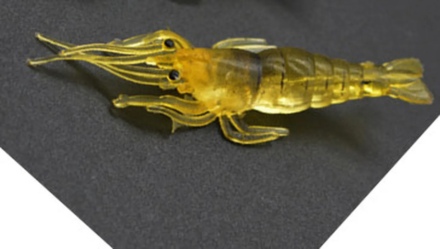 20 шт./лот силиконовые приманки мягкая рыболовная приманка основной цвет или