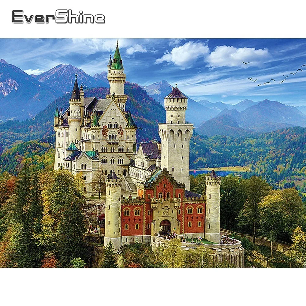 EverShine мозаика полная вышивка квадратная стразы Новый Лебедь Каменный Замок