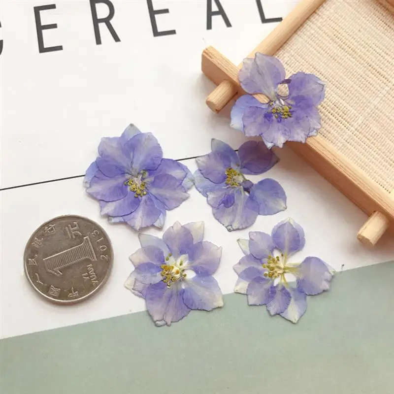 12 шт. сушеные цветы Real Larkspur сделай сам прессованные сухие растения для