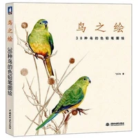 chinese pencil drawing book 38 kinds of birds color pencil painting textbook tutorial art book