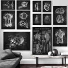 Медицинский плакат с анатомии человека, настенное искусство, Рисунок скелета, орган, мышцы, черно-белая печать, обучение телу, холщовая живопись