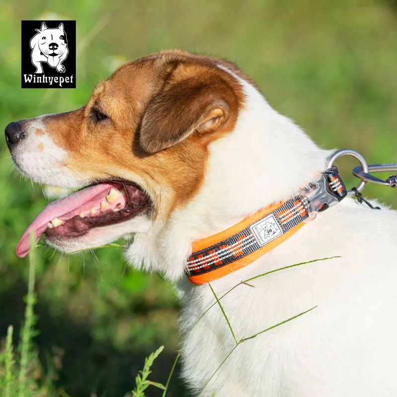 Ошейник для собак Truelove Светоотражающий ошейник с мягкой подкладкой