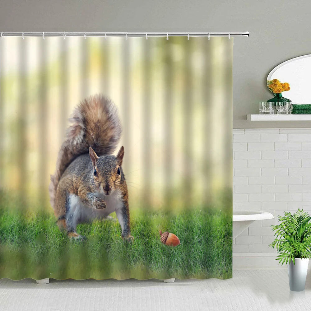 

Fun Squirrel Shower Curtains Cute Animal For Bathroom Curtain Kids Bathtub Home Decor Set Waterproof Fabric Screens With Hooks