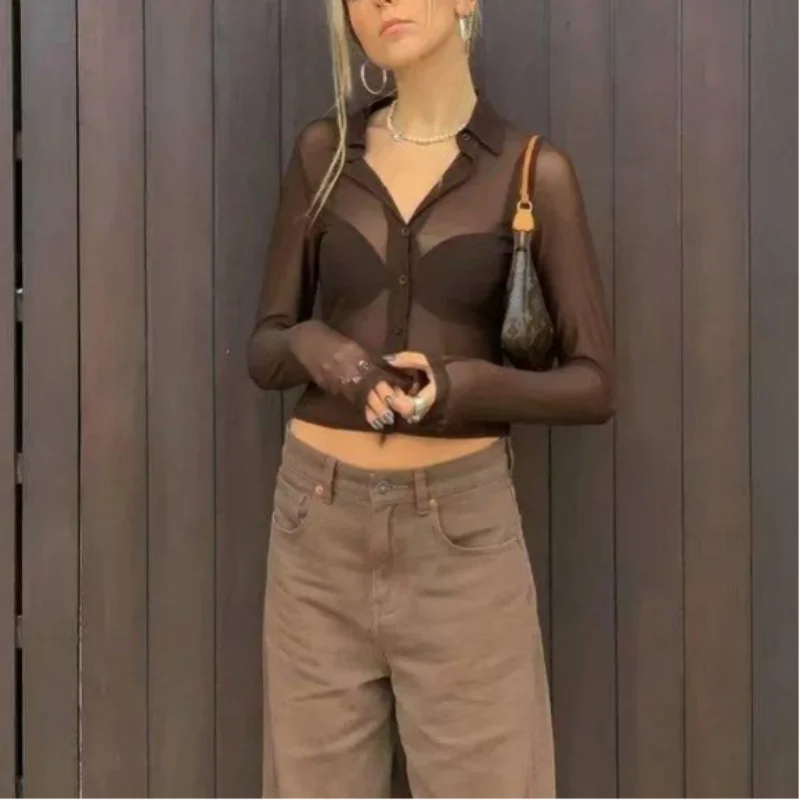 

Осенняя Повседневная пикантная рубашка на пуговицах для женщин, Элегантная блузка, винтажная сетчатая рубашка, коричневый топ с длинным ру...