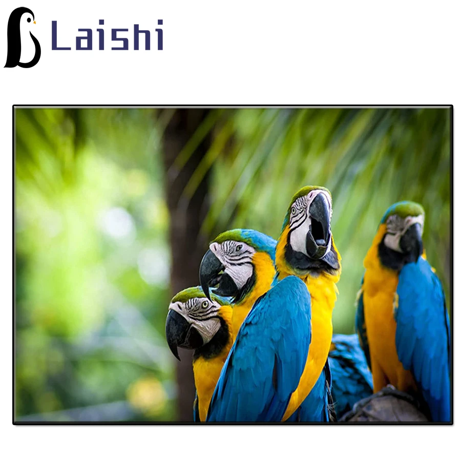 

Natural scenery, animal art, parrots Full circle diamond painting handmade diamond embroidery mosaic art kit home decoration