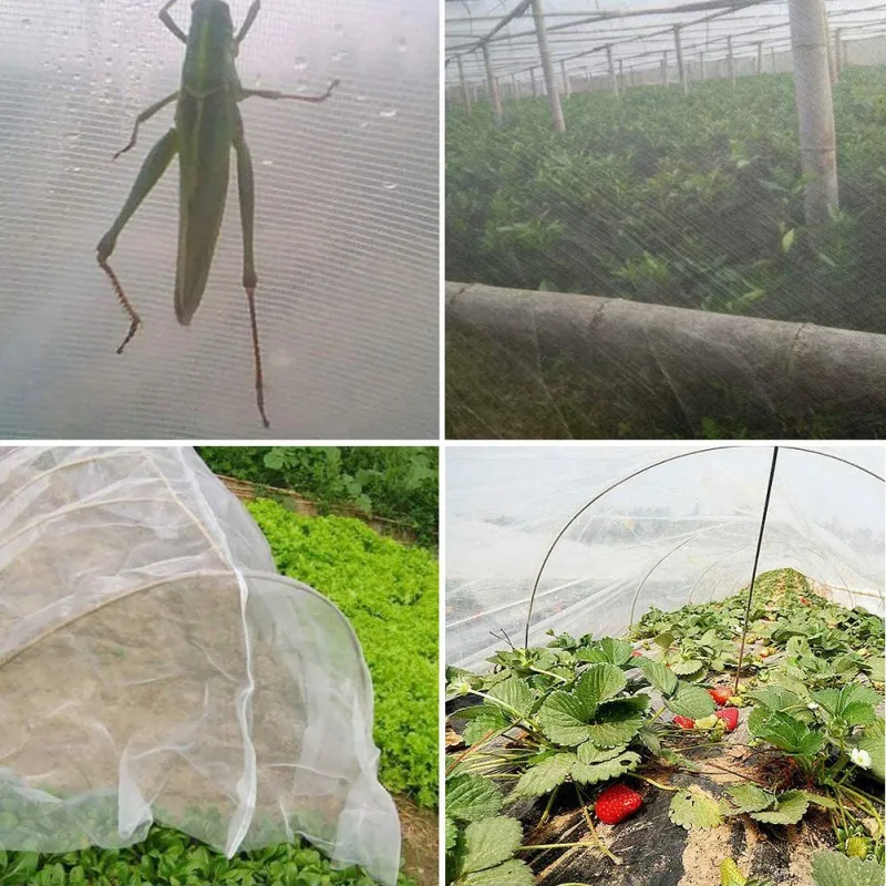

Insect Protection Net Garden Crop Plant Protection Net Netting Bird Net Pest Insect Animal Vegetable Care Big Mesh Nets/