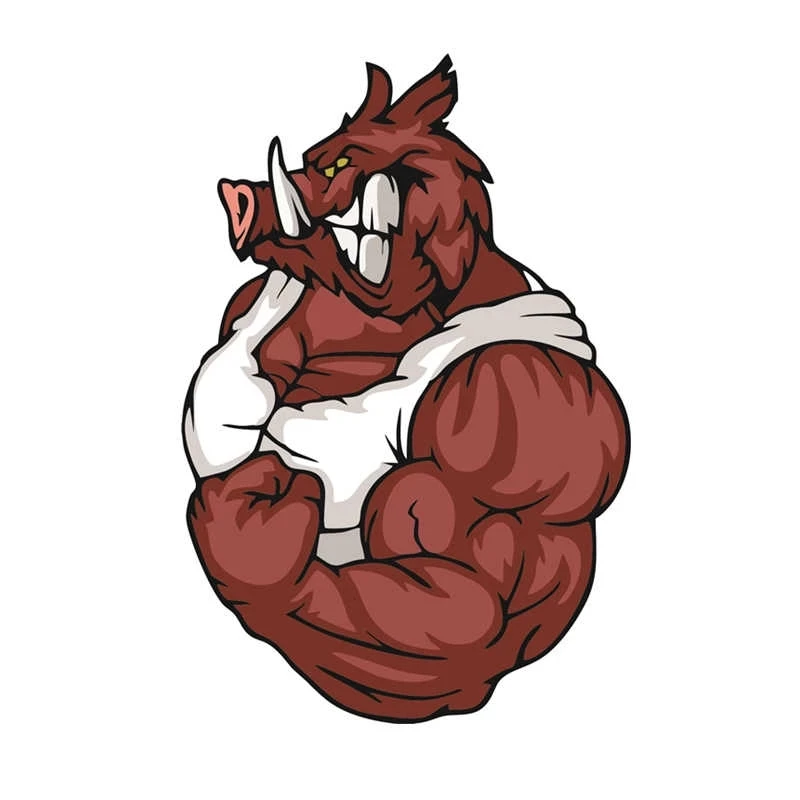 

S50296# 13CM/15CM/17CM Personality PVC Decal Wild Boar V2 Waterproof Car Sticker on Motorcycle Laptop Decorative Accessories