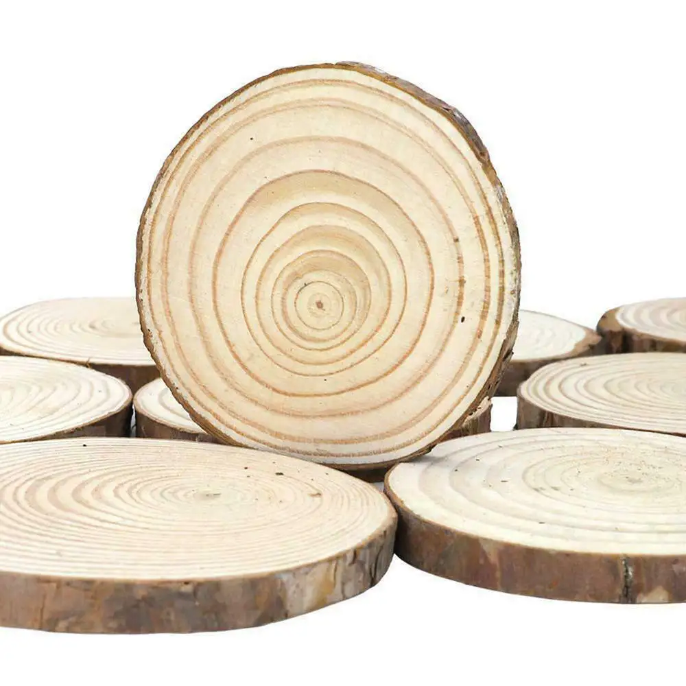 

10pcs/set Round Wood Slices Natural Unfinished Wood Slices Circles DIY Wooden Craft Decorations Birthday Party Gift