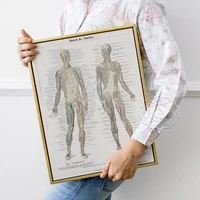 nervous system skeleton body organ muscle art prints hospital doctor office wall art decor anatomical human prints poster
