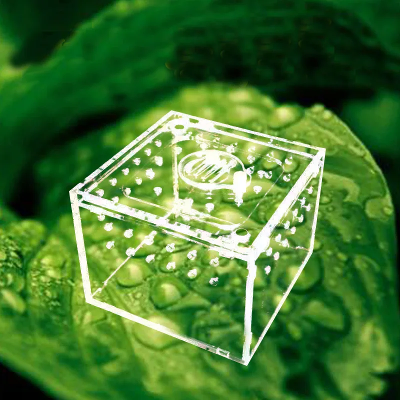 Профессиональная коробка для выращивания муравьев черная акриловая кормления