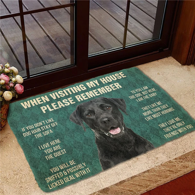 

Germany Rhoneweis Doormat 3D Decor Print Pet Dog Carpet Soft Flannel Non-Slip Doormat for Bedroom Porch