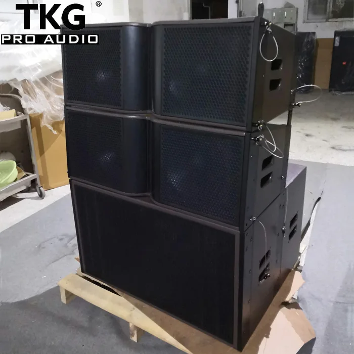 TKG LA2112 1000 Вт двойной 12 дюймов на открытом воздухе звуковая система dj линейного