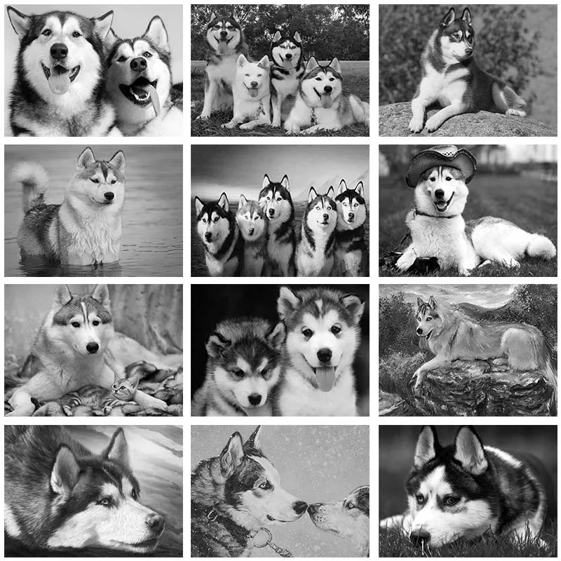 

Black White Animal DIY Diamond Painting Full Mosaic Drill 5D Dog Husky Embroidery Picture of Rhinestone Room Decor Gift