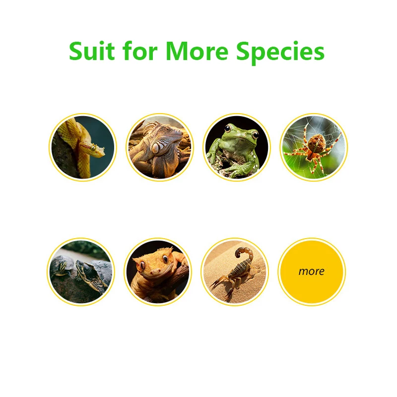 Рептилии ящерица Зя скрывающая пещера комнату искусственная смола |