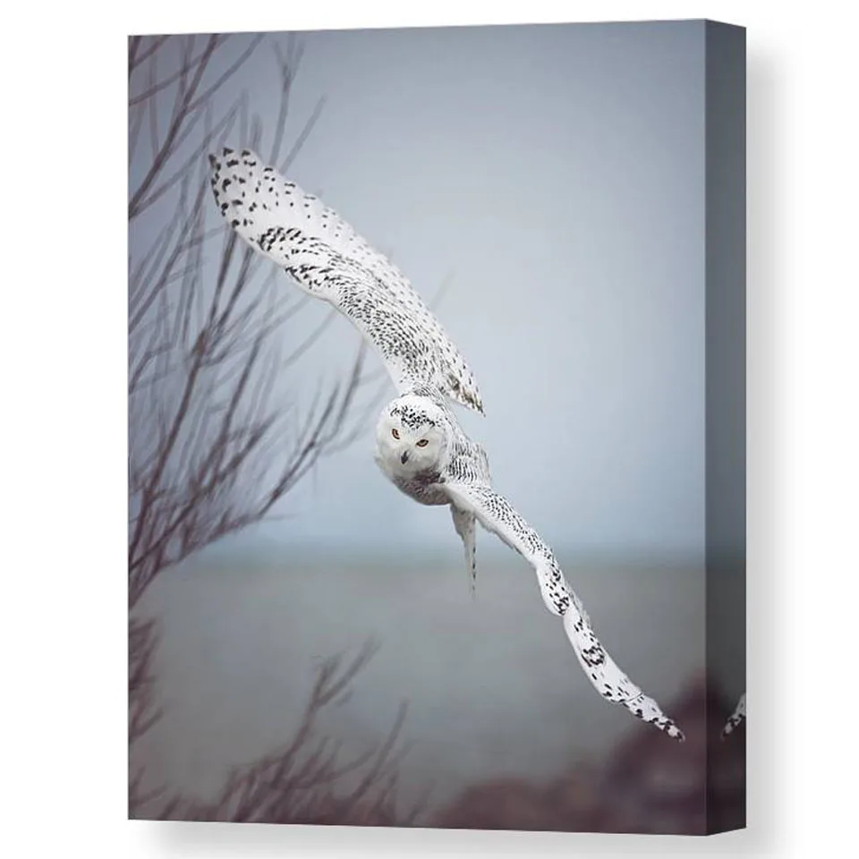 Алмазная 5D Вышивка с изображением заснеженной Совы в полете картина из страз