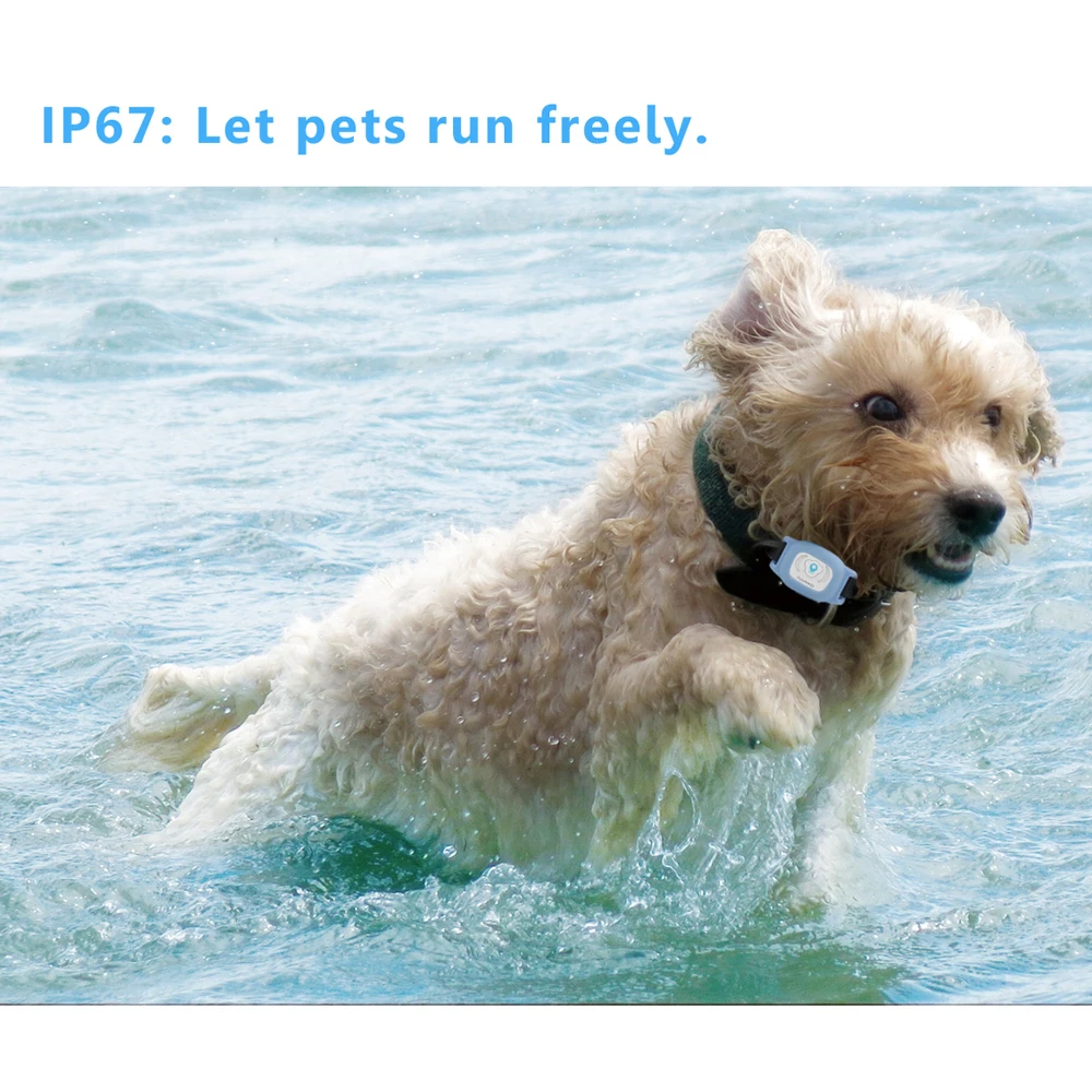 Умные водонепроницаемые IP67 мини-часы с системой слежения GPS ошейник для собак