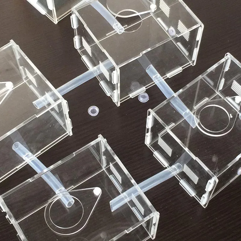 120*100*80 мм площадь действия муравьев акриловая муравьиная ферма прозрачный