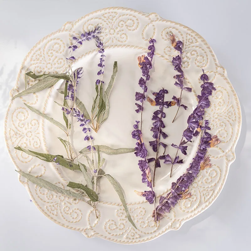 

60pcs Pressed Dried Flower Salvia splendens var.atropurpura Herbarium For Make Up Nail Art Jewelry Bookmark Phone Case Card DIY