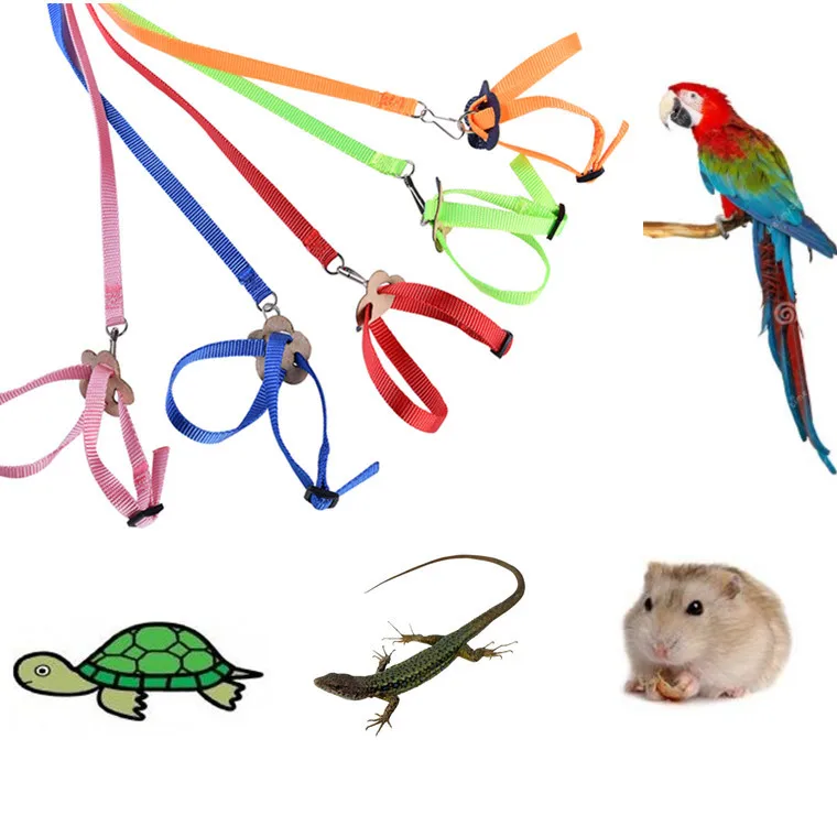 

Hot Sale 1Pcs Nylon Pet Harness and Leash for Hamster Adjustable Ferret Rat Mouse Bunny Harnesses Vest Lead Rope Leash