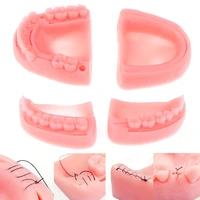 4pcs2pcs dental simulation oral suture model gum suture teaching training equipment