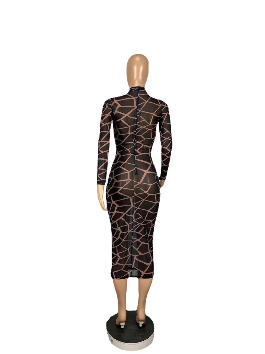 

Fashion women dress printed mesh see through round neck long sleeve dresses
