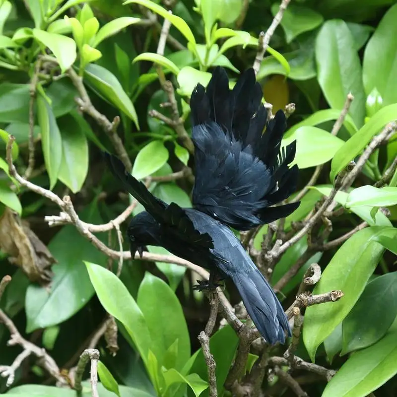 

Halloween Feather Crow Black Crow Props Feather Bird Festival Ghost Decoration Supplies Christmas D7V4