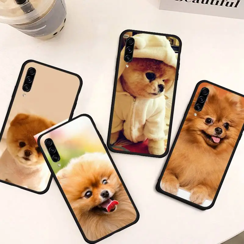 

Pomeranian Phone Case For Samsung galaxy S 21 20 10 8 A 50 21s 51 71 70 40 20 20e note 10 plus Ultra 5g fe