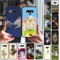 toplbpcs cute mouse rat art phone case for samsung galaxy s20 s10 plus s10e s5 s6 s7edge s8 s9 s9plus s10lite 2020
