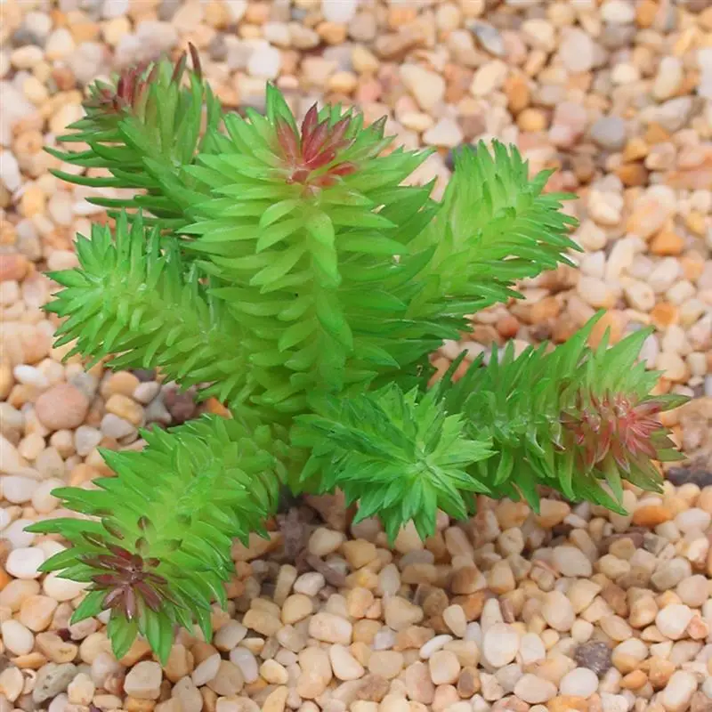 

25PCS Fake Succulent DIY Artificial Succulents with Fake Green Moss & Mini House