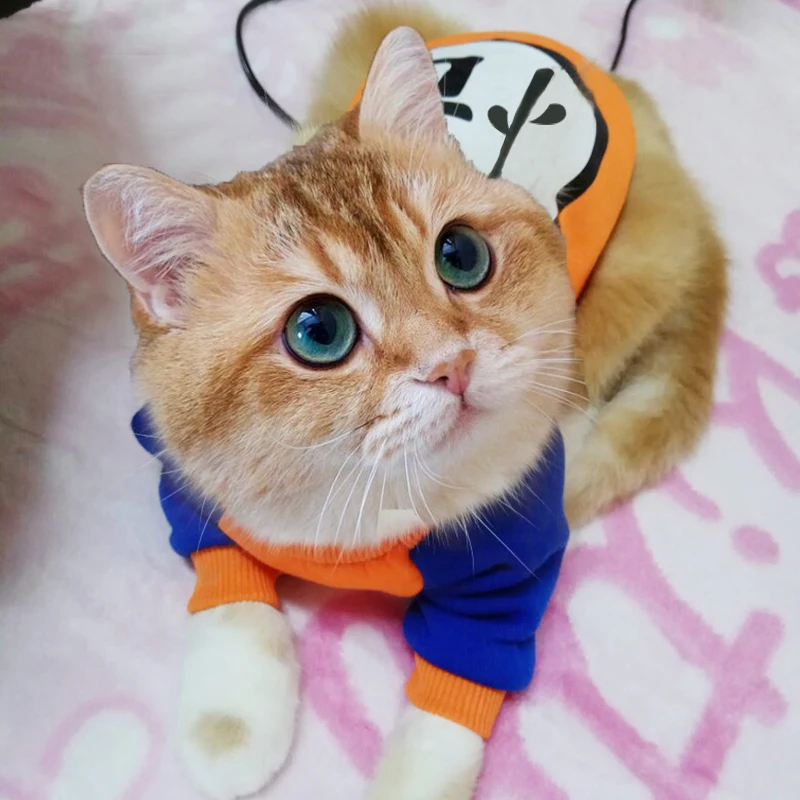 Одежда для собак зимние спортивные толстовки маленьких чихуахуа мопса