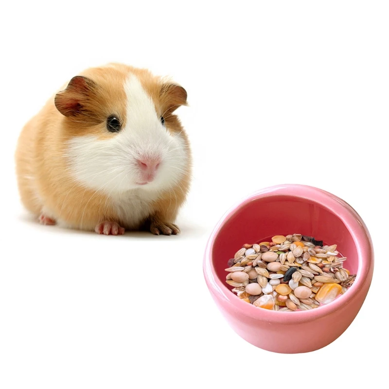 Hamster Food Bowl Small Animals Ceramic Feeding Bowls Water Dish for Rodent