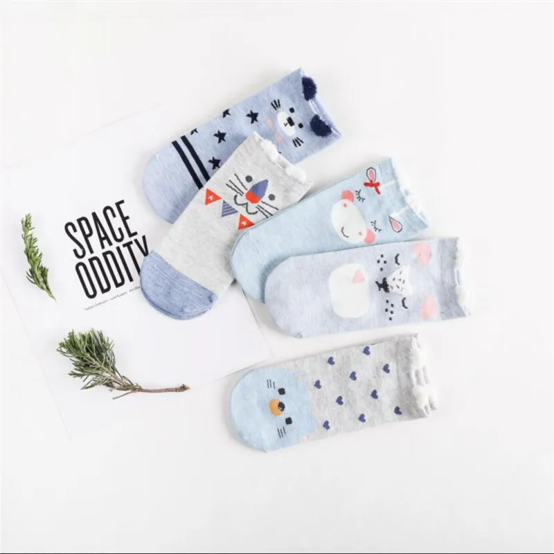 

5 пар, женские милые дизайнерские носки