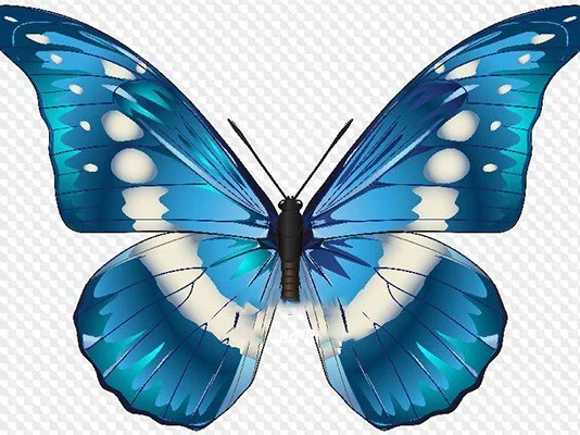 Вышивка бисером животное бабочка бурение новые алмазные картины животных дома