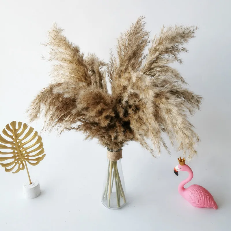 

Wedding Use Flowers Bunch Natural Dried Pampas Grass Flower Reed Phragmites Christmas Home Party Marriage Decoration Accessories