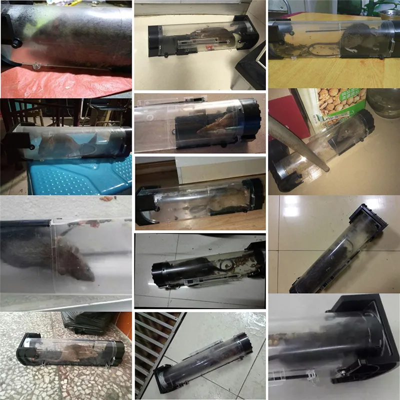 

1 Pcs Nontoxic Rat Trap Cage Catch Mice Rodent Control Catch Bait Hamster Mouse Trap Transparent Humane Live Mousetrap