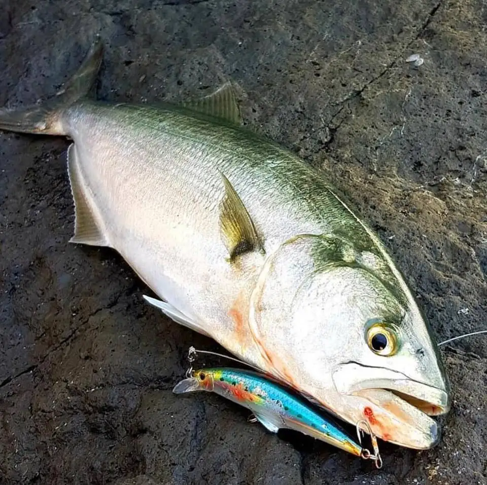 Hunthouse G управление minnow опускается на дно рыбалка приманка 95/120 мм 28/41g