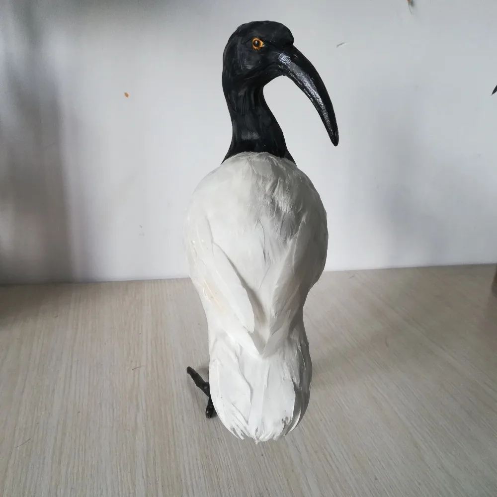 Моделирование Crested Ibis птица большой 27x21 см птица жесткая модель пластик и мех реквизит для птиц, орнамент украшения мебель подарок e1155 (art.: 3920caa8a6843) - 3920caa8a6843