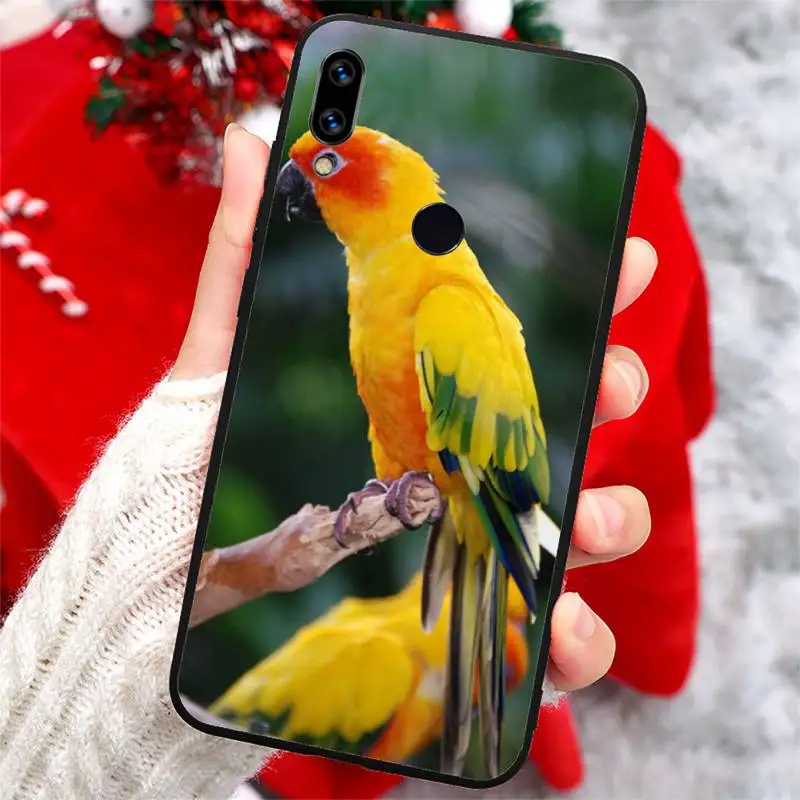 

parrot cute corlorful animal high quality luxury Phone Case shell For Xiaomi Redmi note 7 8 9 t k30 max3 9 s 10 pro lite