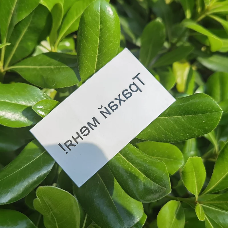 Русские временные татуировки наклейки модель 2-Фетиш поддельные взрослые