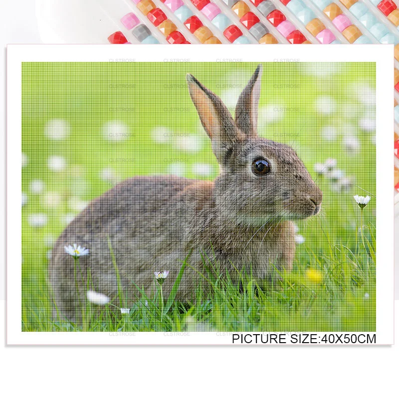 

Diy Diamond Painting Acrylic Material In Various Scenes of The Cute Young Rabbit Contemporary Square Round Furniture Painting