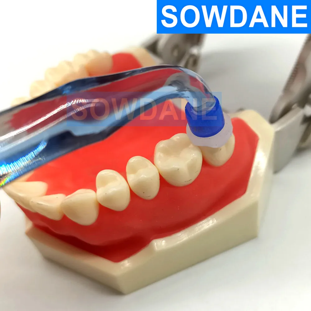 

1set Dental Aesthetic Printing Mold Kit with plastic Handle and 8pcs mold for Posterior Teeth Printing Mould set disinfection